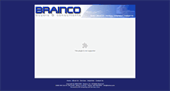 Desktop Screenshot of brainco.com